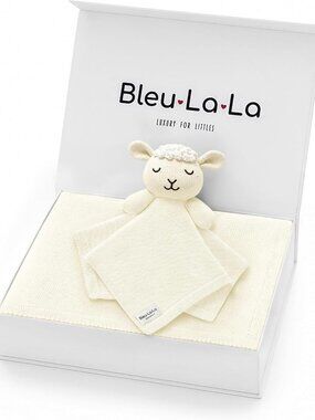 Organic Cotton Baby Gift Set - Newborn Blanket, Lovey & Essentials for Boys